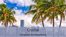  Presentation with miami beach - Beautiful theme featuring beach - miami florida usa tropical downtown backdrop and a light blue colored foreground