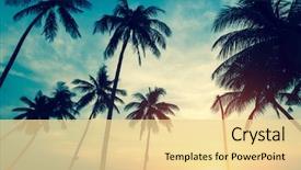  Presentation with palm beach - Audience pleasing PPT theme consisting of beach - silhouettes of palm trees backdrop and a blonde colored foreground