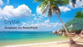  Presentation with coconut tree - Beautiful PPT layouts featuring beach-and-coconut-palm-tree backdrop and a light blue colored foreground