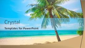  Presentation with coconut palm tree - Slides featuring beach-and-coconut-palm-tree background and a light blue colored foreground