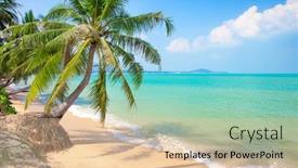  Presentation with coconut palm tree - Colorful presentation enhanced with beach-and-coconut-palm-tree backdrop and a lemonade colored foreground