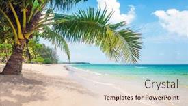  Presentation with palm beach - Theme enhanced with beach-and-coconut-palm-trees background and a lemonade colored foreground