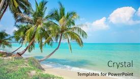  Presentation with palm beach - Presentation theme enhanced with beach-and-coconut-palm-trees background and a seafoam green colored foreground