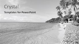  Presentation with palm beach - Audience pleasing presentation theme consisting of beach and palm trees on koh pha ngan thailand backdrop and a light gray colored foreground