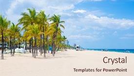  Presentation with florida beach - Beautiful PPT theme featuring beach at fort lauderdale backdrop and a lemonade colored foreground