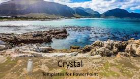  Presentation with south beach - Audience pleasing theme consisting of beach boulders penguin colony backdrop and a coral colored foreground