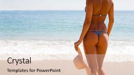  Presentation with sea - Cool new PPT theme with close up of a moth six-spot burnet zygaena filipendulae on a purple flower backdrop and a tawny brown colored foreground