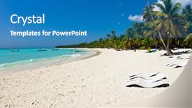  Presentation with palm tree - Slides having black on the upper part background and a gray colored foreground