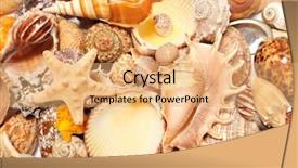  Presentation with shell - PPT theme with braai - delicious grilled vegetarian skewers on background and a tawny brown colored foreground