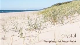  Presentation with seashore - Colorful PPT theme enhanced with beach-grass-on-the-seashore backdrop and a lemonade colored foreground
