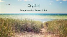  Presentation with seashore - Audience pleasing PPT theme consisting of beach grasses on the seashore backdrop and a sky blue colored foreground