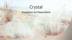  Presentation with southern beach grass - Presentation consisting of beach grasses on the seashore background and a cool aqua colored foreground