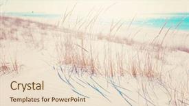  Presentation with seashore - Cool new PPT theme with beach grasses on the seashore backdrop and a lemonade colored foreground