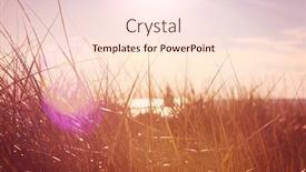  Presentation with seashore - Beautiful slide deck featuring beach-grasses-on-the-seashore backdrop and a lemonade colored foreground