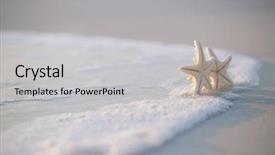  Presentation with florida beach - Cool new presentation theme with beach in florida soft gentle backdrop and a light gray colored foreground