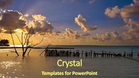  Presentation with birds - Audience pleasing slide deck consisting of beach in mexico sea birds backdrop and a tawny brown colored foreground