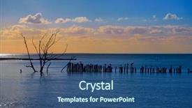  Presentation with mexico - Presentation design having beach in mexico sea birds background and a ocean colored foreground