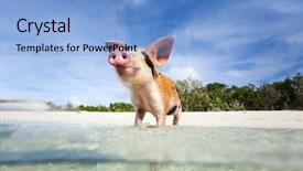  Presentation with bahamas - Presentation theme featuring beach on exuma bahamas background and a light blue colored foreground