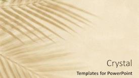  Presentation with leaves flat lay - 