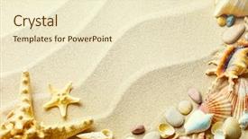  Presentation with starfish - PPT layouts having beach sand with shells background and a cream colored foreground