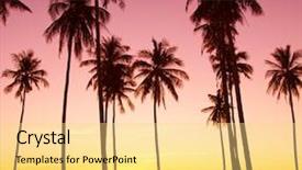  Presentation with palm - Colorful presentation design enhanced with beach scene - idyllic wallpaper palm paradise backdrop and a blonde colored foreground