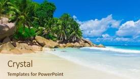  Presentation with tiger in a jungle - Slide set enhanced with beach scene - jungle tranquility palms background and a soft green colored foreground