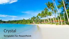  Presentation with paradise - Beautiful presentation featuring beach scene - palm panorama exotic paradise backdrop and a light blue colored foreground