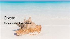  Presentation with sand ocean - Cool new presentation with beach shell ocean conch copyspace backdrop and a lemonade colored foreground