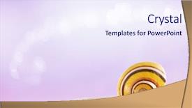  Presentation with sea shell - PPT layouts having beach shells - bright sea shell on white background and a  colored foreground