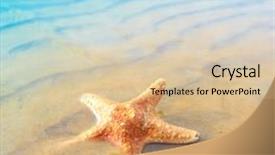  Presentation with fish beach - Cool new presentation theme with beach shells - shell fish sea backdrop and a lemonade colored foreground