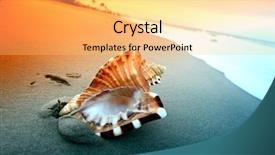  Presentation with footprints in sand - Colorful presentation theme enhanced with beach shells - shell on sand backdrop and a yellow colored foreground