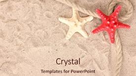  Presentation with silica sand industry - Colorful slide set enhanced with beach shells - starfishes with rope on sand backdrop and a lemonade colored foreground