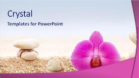  Presentation with orchids - Slide set featuring beach spa - panorama with orchids and zen background and a sky blue colored foreground