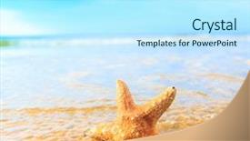  Presentation with mindfulness dream makers - Presentation consisting of beach star fish - sand sea dream background and a cool aqua colored foreground