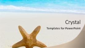  Presentation with rape in crime scene investigation - Cool new PPT theme with beach star fish - sea sand scene backdrop and a lemonade colored foreground