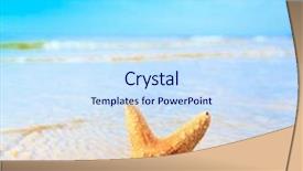  Presentation with sea shell - Amazing presentation theme having beach star fish - sea shell dream backdrop and a sky blue colored foreground