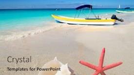  Presentation with seashell - Colorful presentation design enhanced with beach starfish and seashell backdrop and a soft green colored foreground