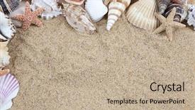  Presentation with sea shell - Beautiful PPT theme featuring pimientos del piquillo rellenos de bacalao stuffed red peppers with cod cream sauce spanish cuisine backdrop and a sky blue colored foreground