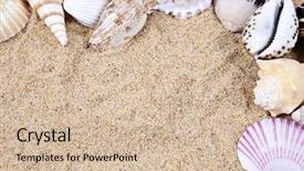  Presentation with beach frame - Beautiful theme featuring beach taken closeup shell border backdrop and a soft green colored foreground