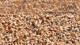  Presentation with theme - Colorful slides enhanced with beach themed - sea theme background backdrop and a coral colored foreground