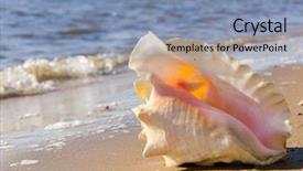  Presentation with treasure - Audience pleasing presentation theme consisting of beach treasure seascape divine backdrop and a light blue colored foreground