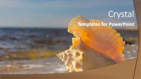  Presentation with treasure - Presentation design with beach treasure tropical symbol background and a seafoam green colored foreground