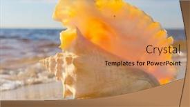  Presentation with treasure - Audience pleasing presentation design consisting of beach treasure tropical symbol backdrop and a coral colored foreground