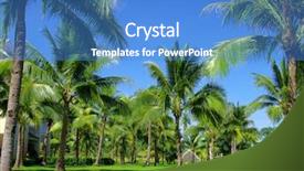  Presentation with palm tree - Presentation theme having beach trees - green palm tree on blue background and a  colored foreground