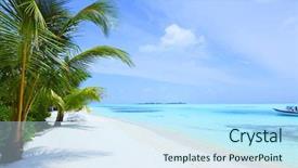  Presentation with palm beach - Presentation design featuring beach trees - tropical island palm sea background and a sky blue colored foreground