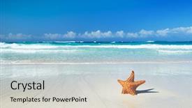  Presentation with annual dinner under the sea - Colorful presentation design enhanced with beach trees - tropical sea under the blue backdrop and a light gray colored foreground