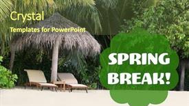  Presentation with spring break - Slides consisting of beach under palm tree background and a  colored foreground