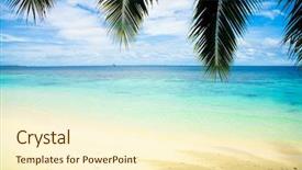  Presentation with scene - Amazing slide deck having beach under palms backdrop and a cream colored foreground