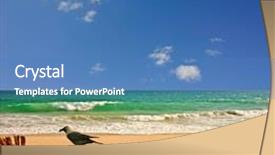  Presentation with birds - Theme featuring beach with carcass and birds background and a teal colored foreground