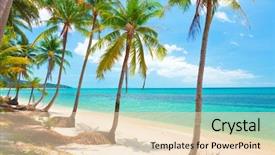  Presentation with palm beach - Beautiful presentation theme featuring beach with coconut palm tree backdrop and a lemonade colored foreground